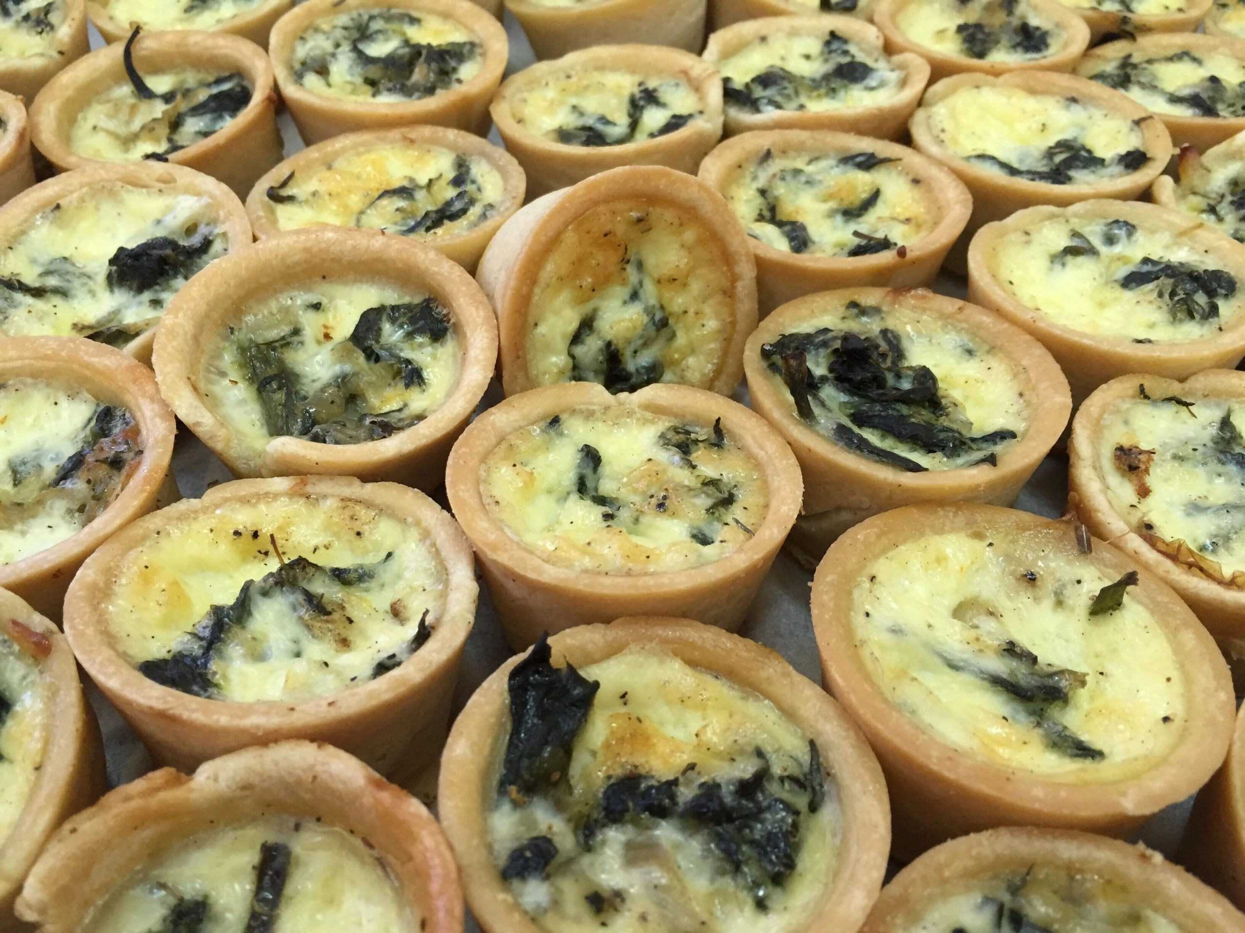 מבצע 2 מגשי מיני קישים רגיל / טבעוני/ללא קמח חיטה/ מאפה פילו ב- 130 ש"ח מבצע 2 מגשי מיני קישים רגיל / טבעוני/ללא קמח חיטה/ מאפה פילו ב- 130 ש"ח