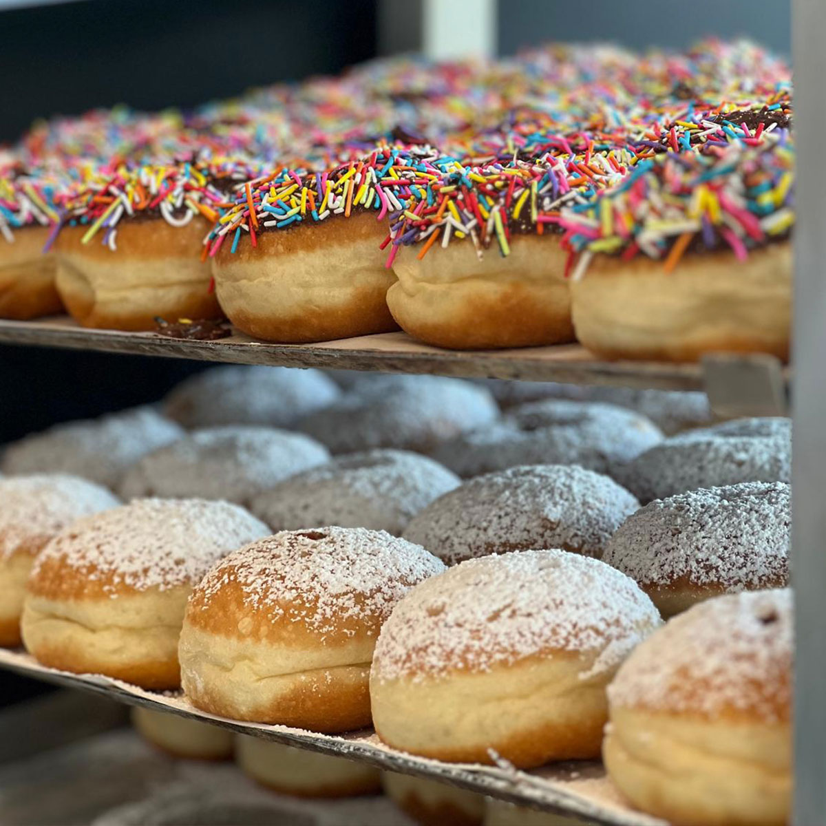 סופגניות יום הולדת בציפויי שוקולד וסכריות (פרווה)